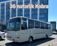 36-местный Автобус Кобры