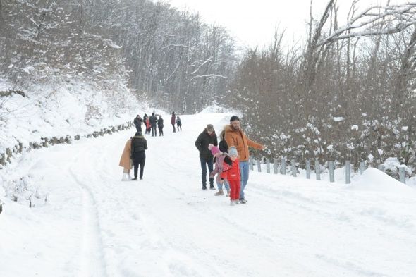 Qarlı Qəçrəş meşəsindən FOTOREPORTAJ