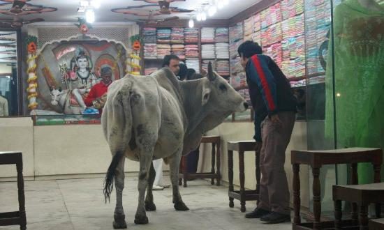 Hindistanın ən müqəddəs şəhəri- Varanasi