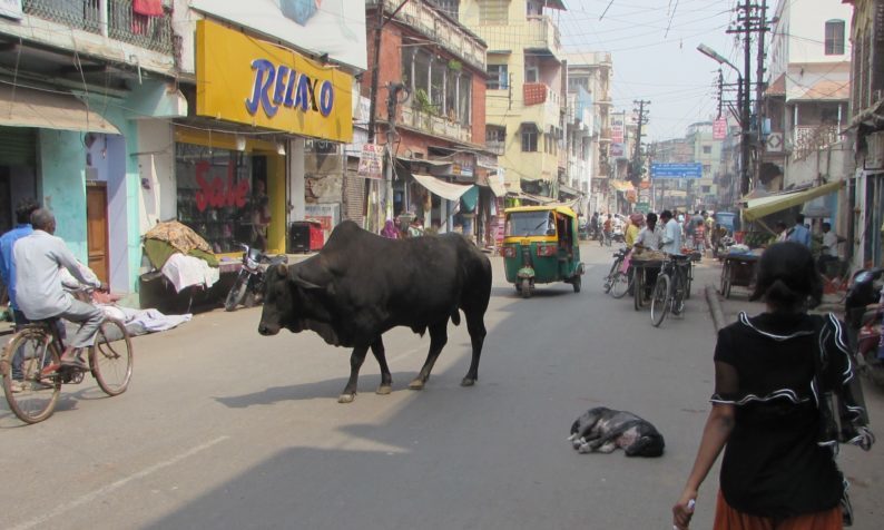 Hindistanın ən müqəddəs şəhəri- Varanasi