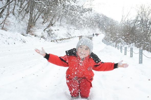 Qarlı Qəçrəş meşəsindən FOTOREPORTAJ