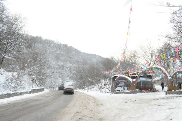Qarlı Qəçrəş meşəsindən FOTOREPORTAJ