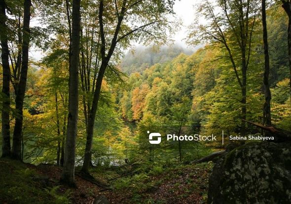 Turizmin qızıl payız dövrü - FOTO