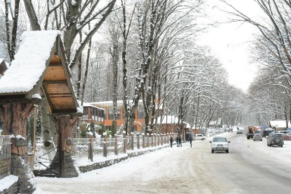 Qarlı Qəçrəş meşəsindən FOTOREPORTAJ