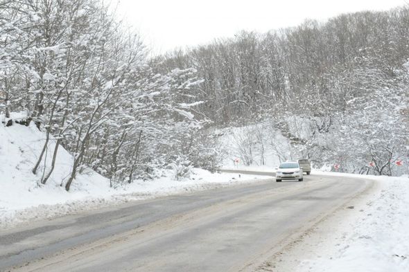 Qarlı Qəçrəş meşəsindən FOTOREPORTAJ