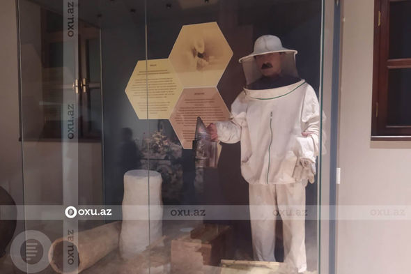 Tarix və təbiətin ahəngi: İsgəndərin dirilik suyu axtardığı yerdən REPORTAJ - FOTO