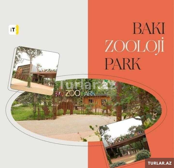 Məktəblilər üçün Zoopark turu