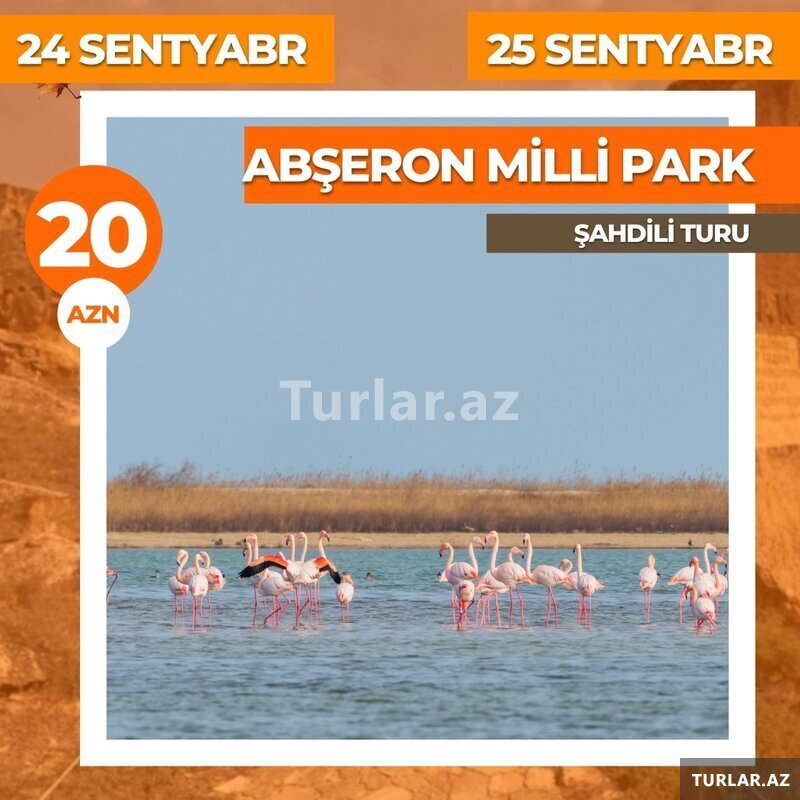 Abşeron Milli park Şahdili turu
