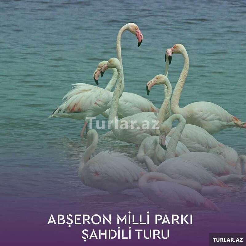 Abşeron milli parki-şahdili turu