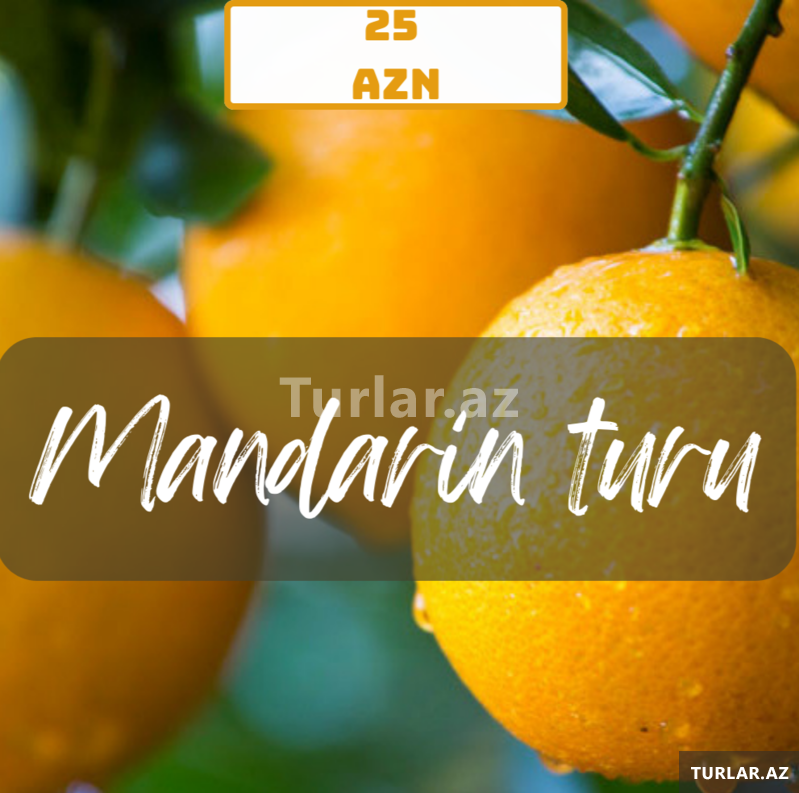 Mandarin turu