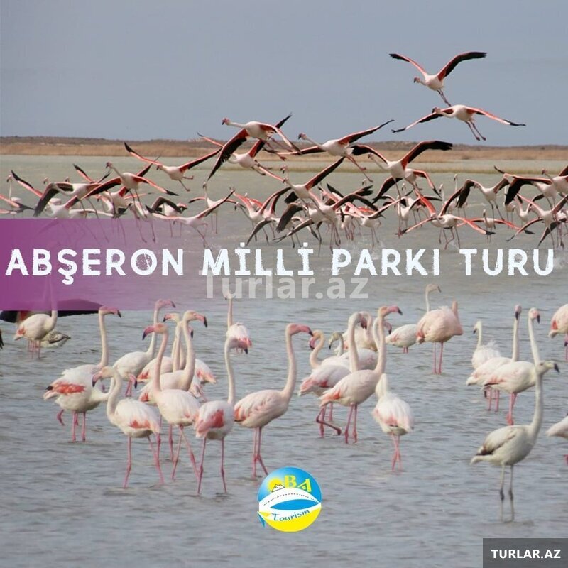 Abşeron milli parkı turu