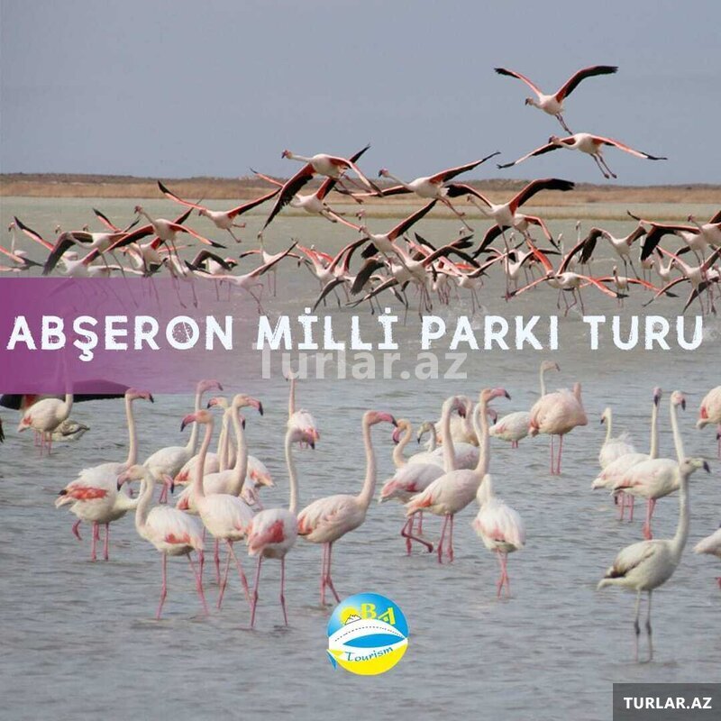 Abşeron Milli Parki-şahdili Turu