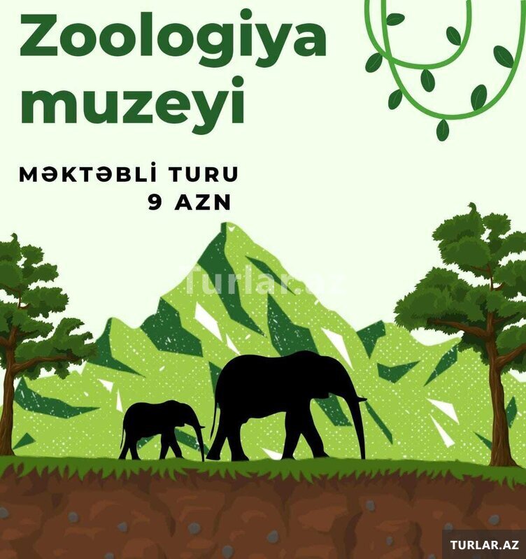 Zoologiya Muzey Turu