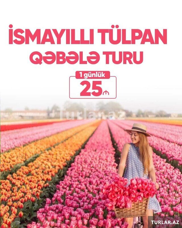 İsmayıllı Qəbələ Tülpan turu İsmayıllı Qəbələ Tülpan turu