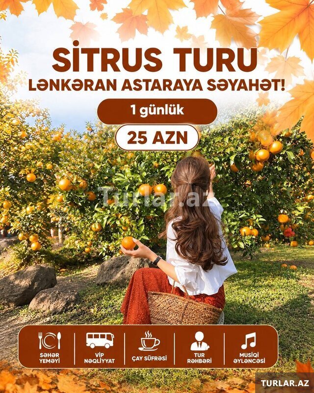 Lənkəran sitrus turu Lənkəran sitrus turu