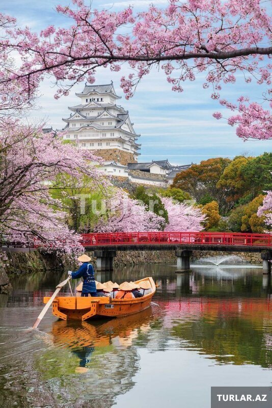 Yaponiya sakura mövsümü turu Yaponiya sakura mövsümü turu