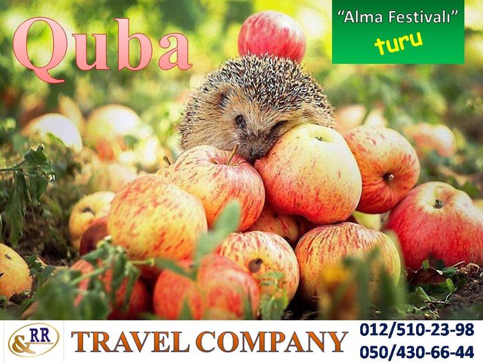 Quba Alma Festivalı turu - daxili turlar - TURLAR.AZ