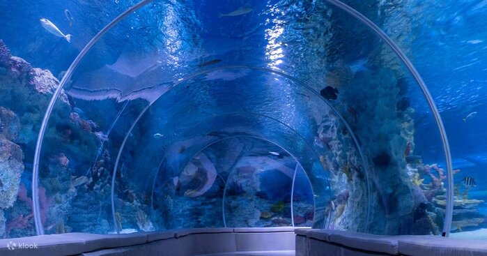 İstanbulda turistlər üçün gəzməli yerlər