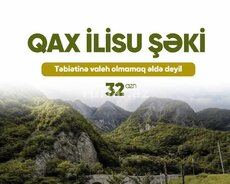 Qax - Şəki turu