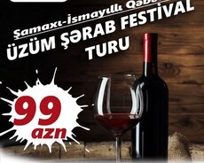 Şamaxı- Üzüm Şərab Festival turu