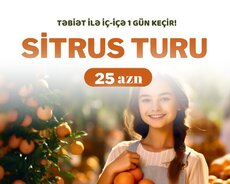 Lənkəran Astara Sitrus turu