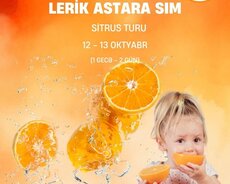 Lənkəran Sitrus Lerik Astara Sım kəndi turu