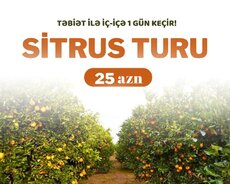 Lənkəran Astara Sitrus turu