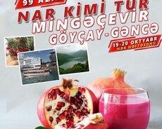 Göyçayın Nar bağları