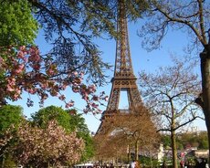 Parisə qrup turu