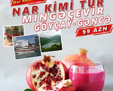 Göyçay - Mingəçevir - Göygöl turu