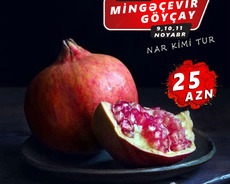 Göyçay • MİNGƏÇEVİR TURU