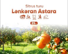 Lənkəran Astara sitrus turu