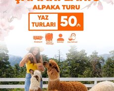 Şamaxı Alpaka - İsmayıllı Lahıc turu