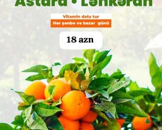 Новогодний тур Товуз Гедабек