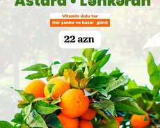 Новогодний тур Товуз Гедабек