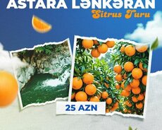 Шахдаг - приключенческий тур