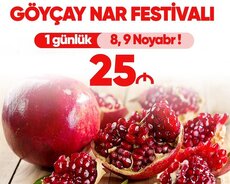 Göyçay Nar festivalı
