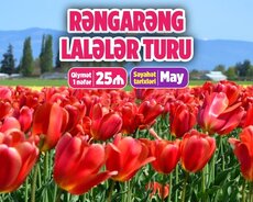 Şamaxı İsmayıllı Lalələr turu