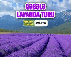 Красочный и веселый тур по лаванде в Габале
