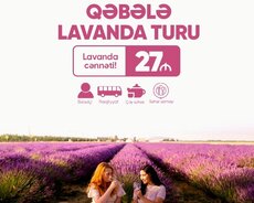 Удивительный тур Gabala Lavender