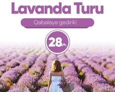 Möhtəşəm Qəbələ Lavanda turu