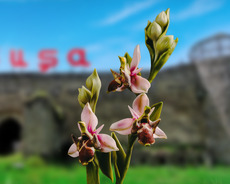 Xankəndi Şuşa Ağdam Xocalı Əsgəran turu