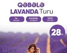 Qəbələ Lavanda turu