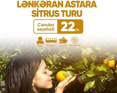Lənkəran Astara sitrus turu