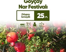 Göyçay Nar festivalı