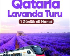 Qəbələ LAVANDA Qatar SƏYAHƏTİ