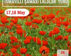 İsmayıllı Şamaxı Lalələr turu