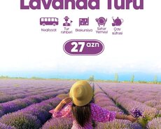 Qəbələ Lavanda turu