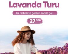 Qəbələ Lavanda Turu