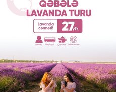 Красочный и веселый тур по лаванде в Габале